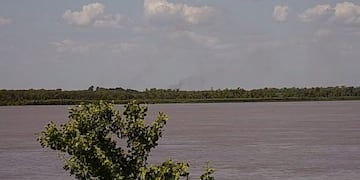 La Municipalidad confirmó nuevos foco. (@cior_rosario)