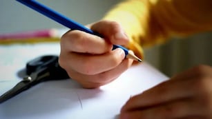 Cuándo un alumno pierde el beneficio de los vouchers educativos.