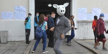 El "Chancho Blanco" que apareció mientras votaba Larreta.
