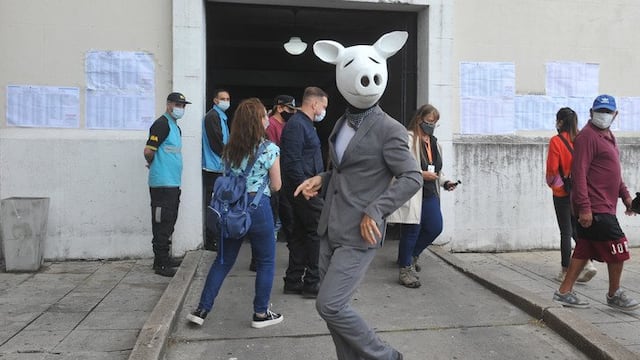 El "Chancho Blanco" que apareció mientras votaba Larreta.