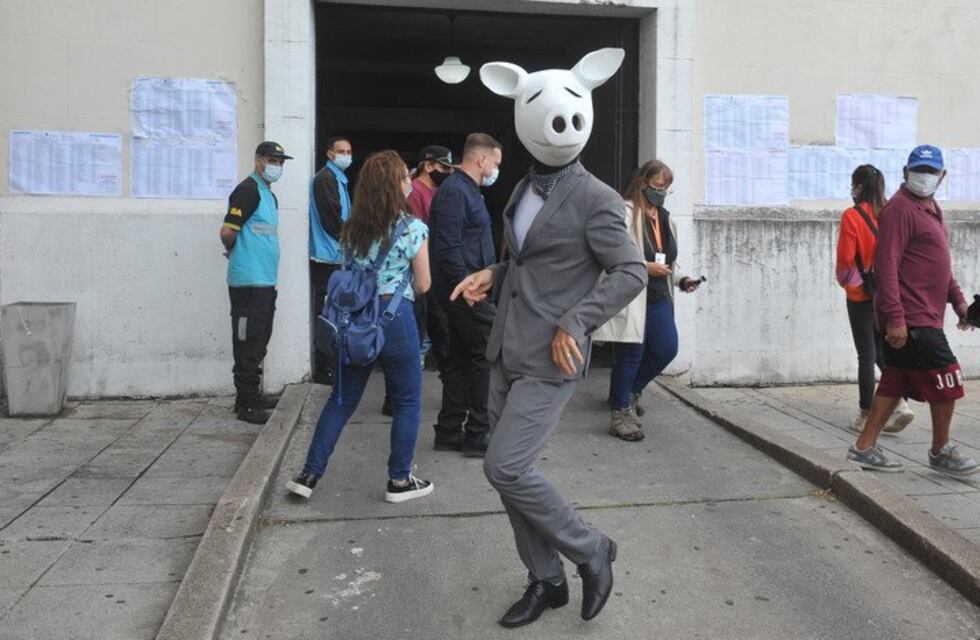Elecciones 2021: el “Chancho Blanco” que apareció mientras votaba Larreta en Recoleta