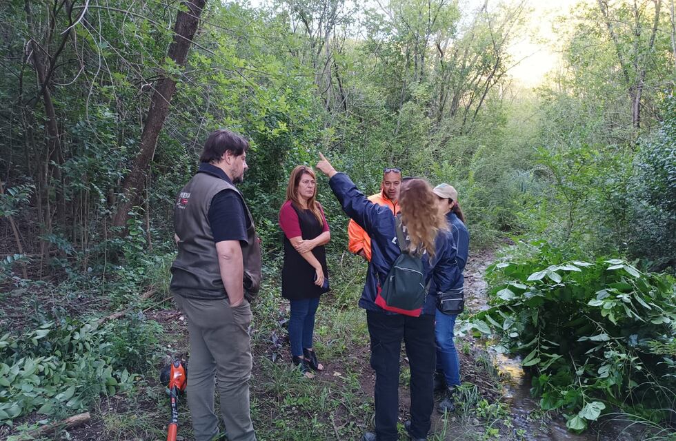 Turismo de naturaleza en Carlos Paz: la Reserva Altos de las Vertientes, otro rincón del área protegida