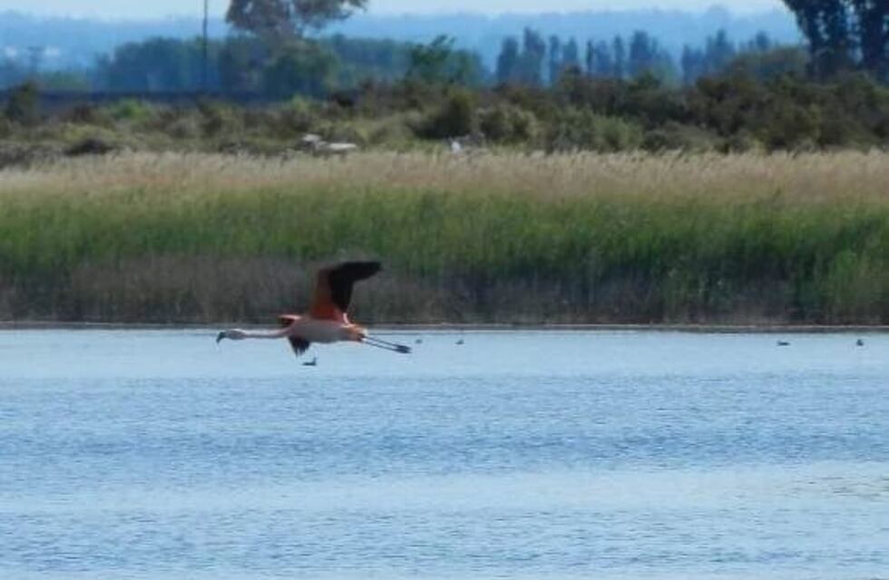 Denuncias por la venta ilegal de lotes en la Laguna La Paloma de Maipú