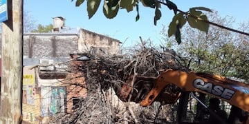 Puerto Iguazú: realizaron trabajos de poda y recolección.