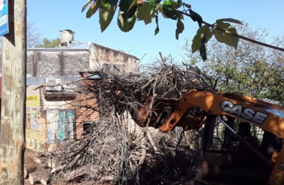 Puerto Iguazú: realizaron trabajos de poda y recolección