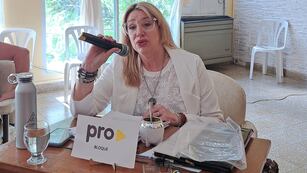 Natalia García Luna separó su banca del bloque PRO - ARI.