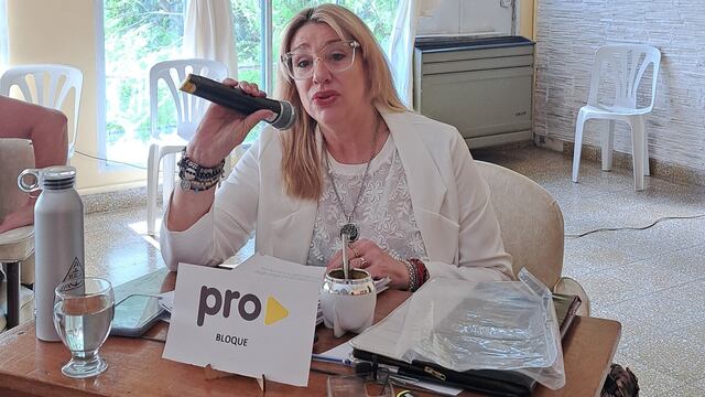 Natalia García Luna separó su banca del bloque PRO - ARI.