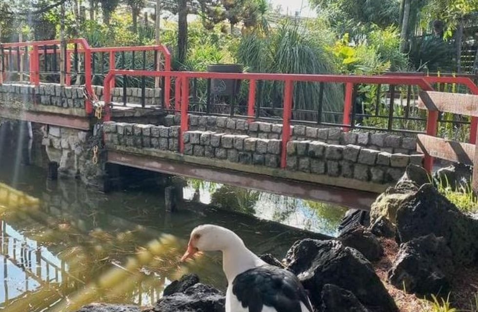 ¿Un viaje a Japón sin salir de Buenos Aires? Descubre la aldea secreta a solo una hora