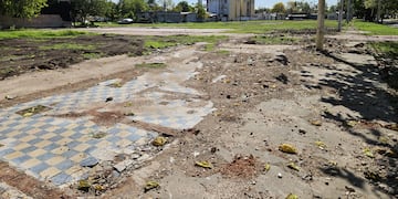 Así se encuentra el expredio de Luz y Fuerza en el barrio Belgrano