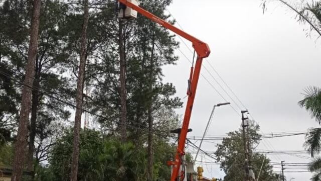 Puerto Iguazú: realizan mejoras en las líneas de tendido eléctrico.