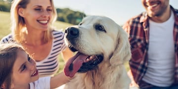 Un municipio de San Luis busca conocer su población de mascotas con un censo canino y felino (Imagen ilustrativa)