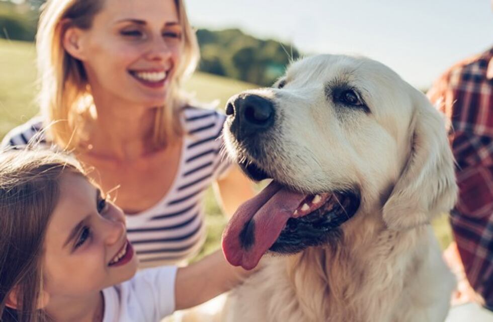 Un municipio de San Luis busca conocer su población de mascotas con un censo canino y felino