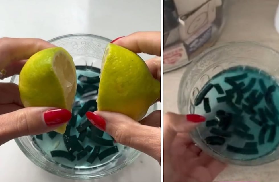 El truco viral: cómo repeler mosquitos, moscas y cucarachas de forma casera