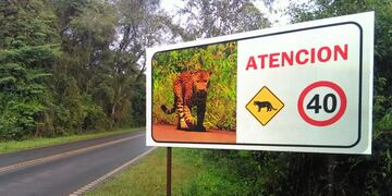 El Parque Nacional Iguazú tendrá más radares de tránsito.