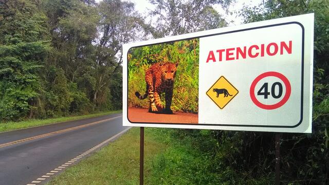 El Parque Nacional Iguazú tendrá más radares de tránsito.