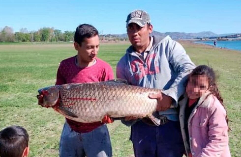 Récord en el San Roque: atrapan una carpa de más de 46 kilos