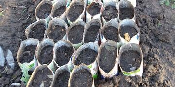 La Secretaría de Gestión Ambiental continúa recibiendo envases de tetra brik