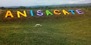 Ingreso de Anisacate. (Sumario)