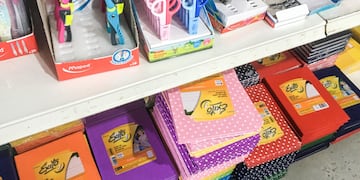 Los productos pueden adquirirse a valores promocionales hasta el 31 de marzo. (Municipalidad de Santa Fe)
