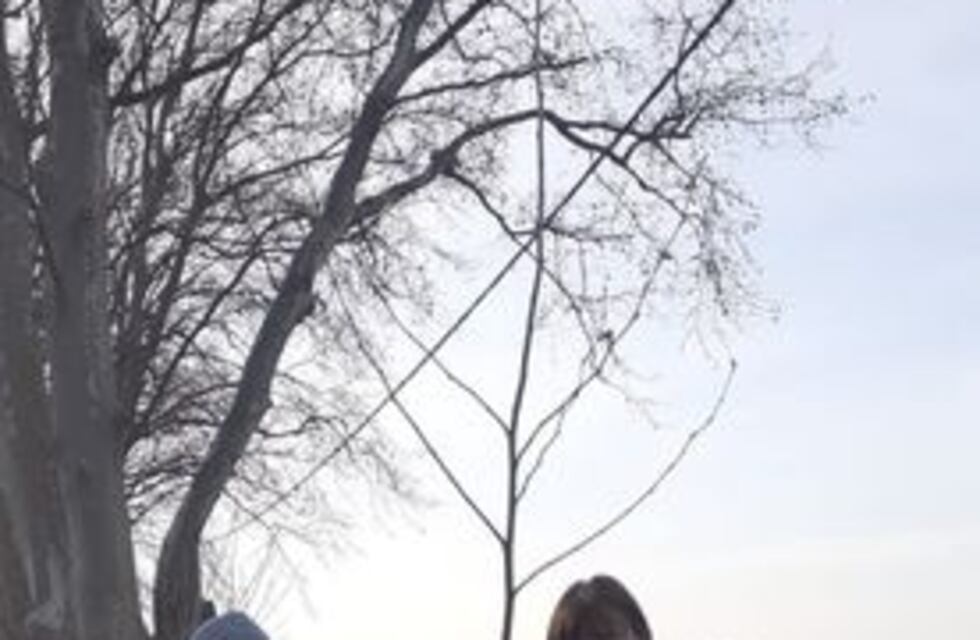 Soldini plantó árboles en el camino que va hacia el cementerio