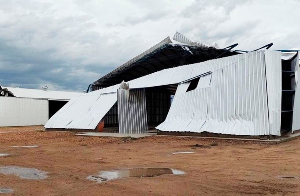 Un fuerte tormenta de viento, lluvia y granizo provocó severos daños en Realicó
