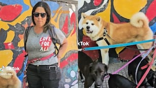 Sueldo paseadora de perros.