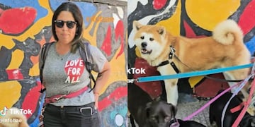 Sueldo paseadora de perros.