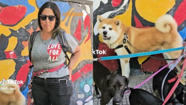 Sueldo paseadora de perros.