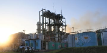 La Florida pone en marcha la destilación de alcohol y marca el inicio de la zafra 2025 en Tucumán.