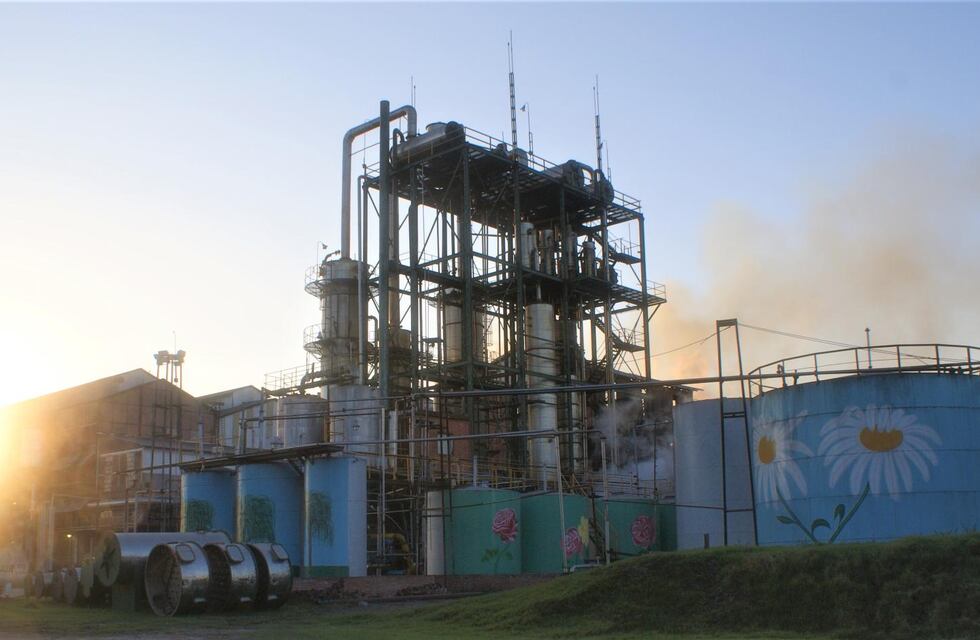 Ingenio La Florida pone en marcha la destilación alcoholera