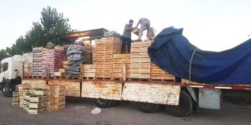 Los pimientos estaban disribuidos en 40 cajones y ocultos entre el resto de la carga.