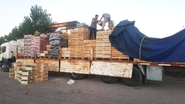 Los pimientos estaban disribuidos en 40 cajones y ocultos entre el resto de la carga.