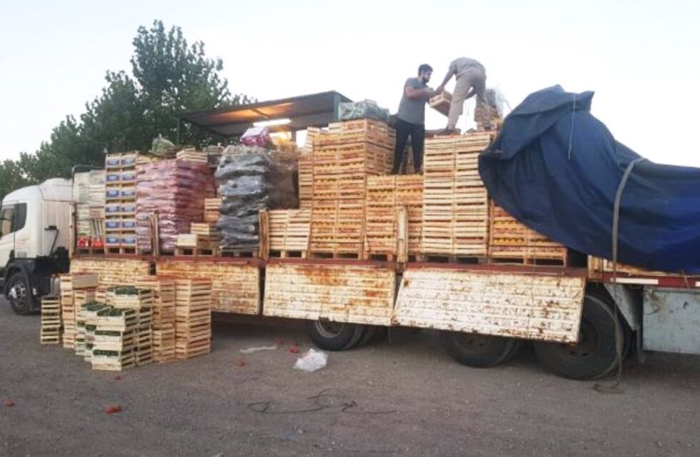 Decomisaron 400 kilos de pimientos que intentaban ingresar a escondidas a San Rafael