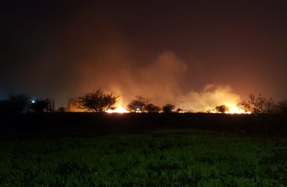 Incendio frente al aeropuerto de Córdoba: Bomberos combaten un foco en el sector