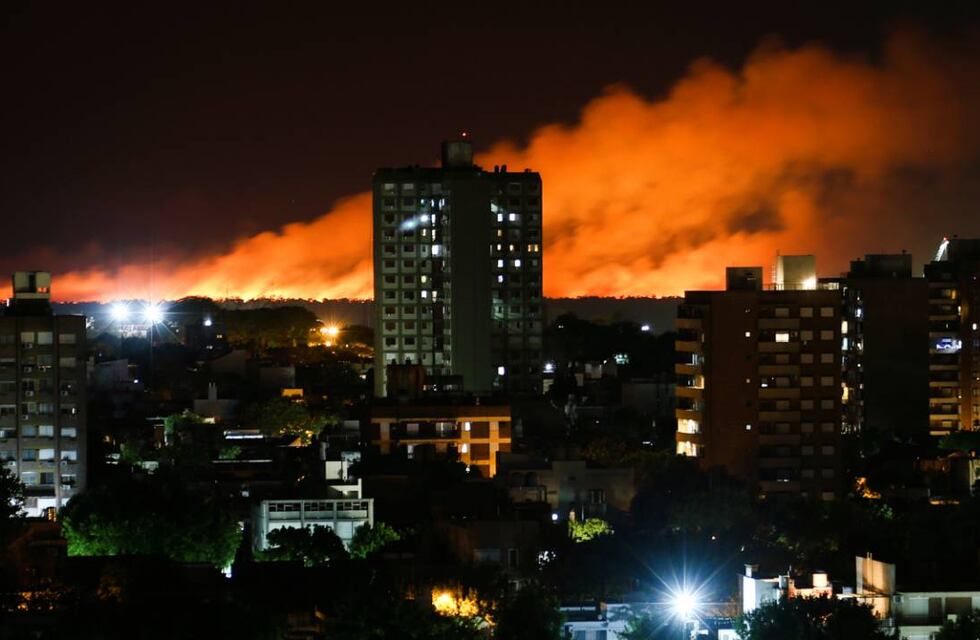 Fuego en las islas: senadores nacionales por Santa Fe presentaron un nuevo proyecto de Ley de Humedales