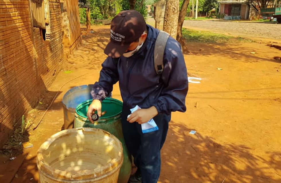 Operativos de limpieza y preventivos contra el dengue en Puerto Iguazú