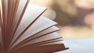 Efemérides. Día Nacional del Lector. (Imagen ilustrativa)