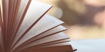 Efemérides. Día Nacional del Lector. (Imagen ilustrativa)