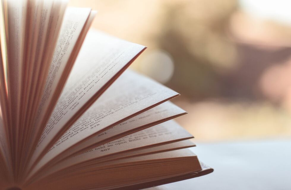 Octubre: Encuentro de lectura y poéticas para la infancia