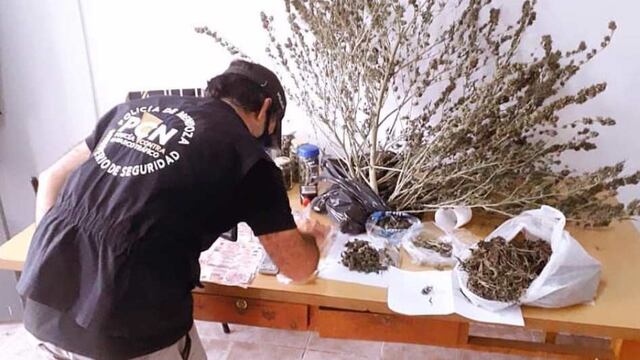 Marihuana, alucinógenos, LDS y éxtasis incautó la Policía en un procedimiento en Alvear.