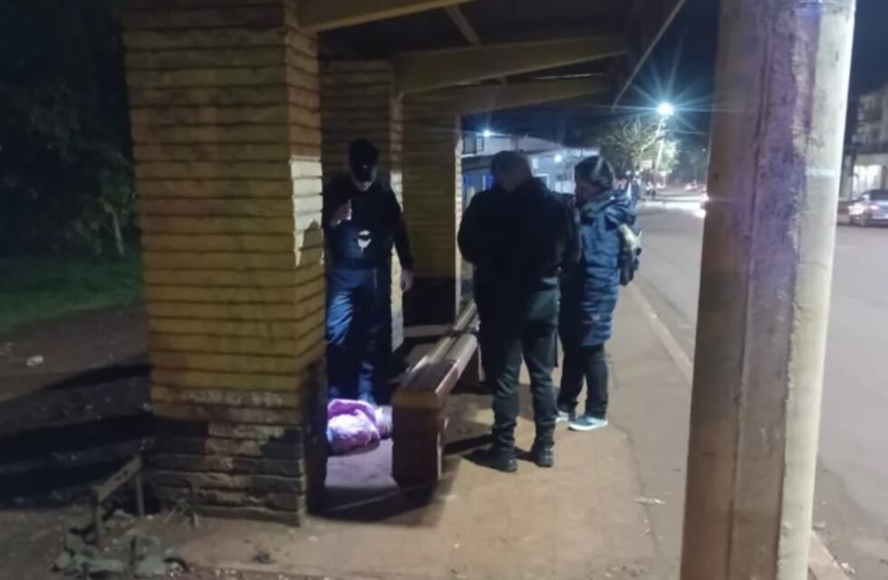 Eldorado: policías asistieron a un perro que fue arrollado por un vehículo que huyó de la escena