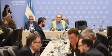 El Frente de Todos firmó el dictamen de mayoría en las comisiones de Presupuesto y Legislación General (Foto: HCDN)
