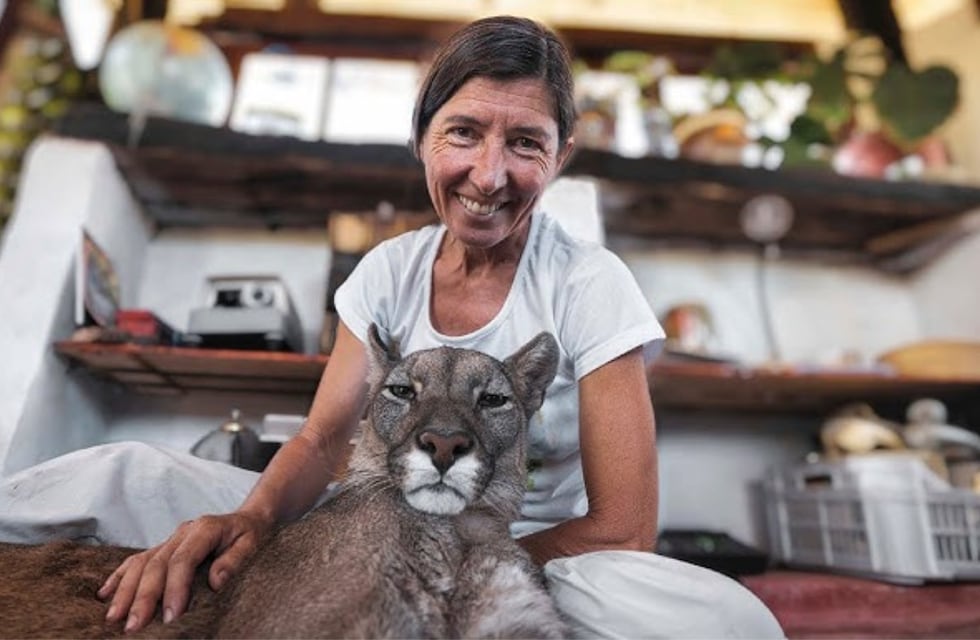 Quedó ciego y vive en una reserva de Córdoba: la historia de amor y superación del puma Estanislao