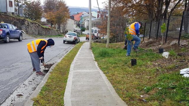 Ushuaia: la Municipalidad realizó una jornada de limpieza en el Barrio Felipe Varela