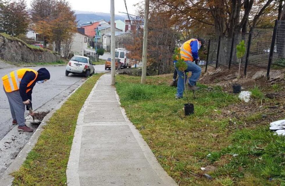 Ushuaia: la Municipalidad realizó una jornada de limpieza en el Barrio Felipe Varela