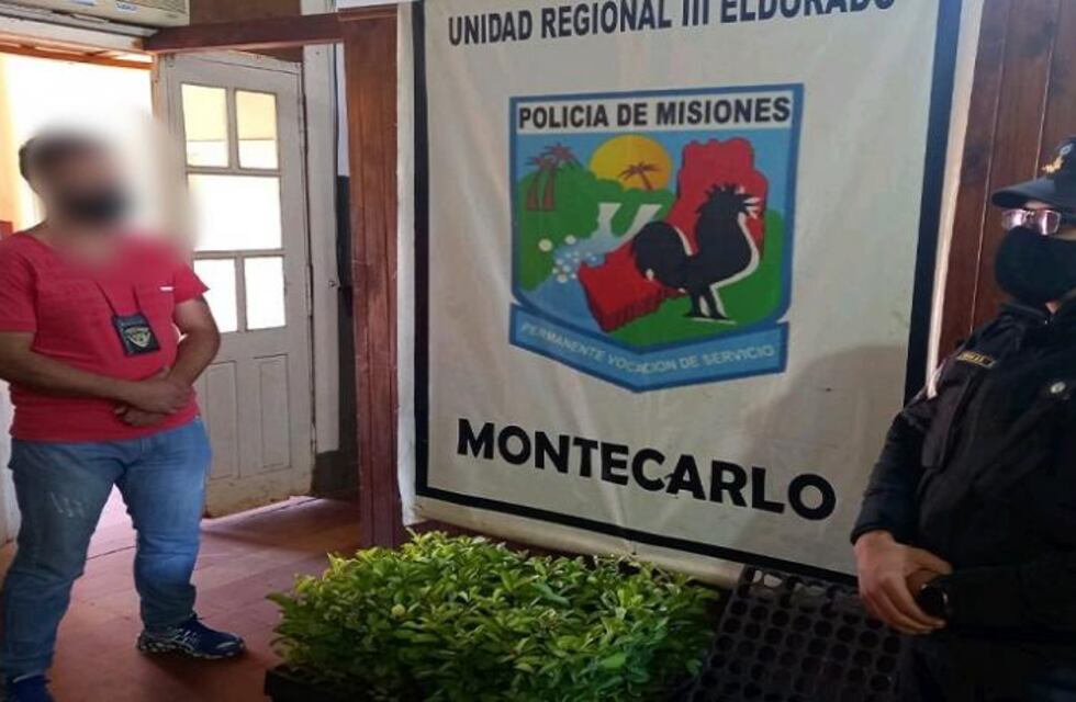 Colonia Laharrague: recuperan plantines de yerba