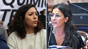 Diputada Leila Chaher - Senadora Carolina Moisés (Unión por Todos - Jujuy)