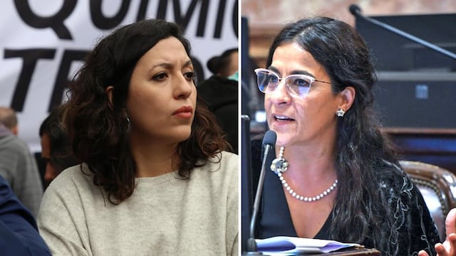 Diputada Leila Chaher - Senadora Carolina Moisés (Unión por Todos - Jujuy)
