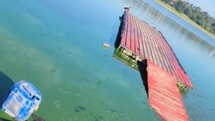 Cianobcterias por crecientes