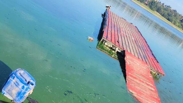 Cianobcterias por crecientes